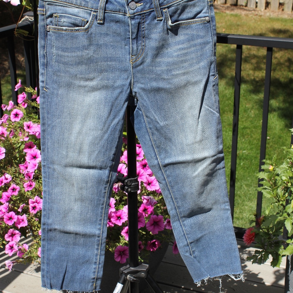 Pilcro Script Jeans Size 26 Petite Slim Fit